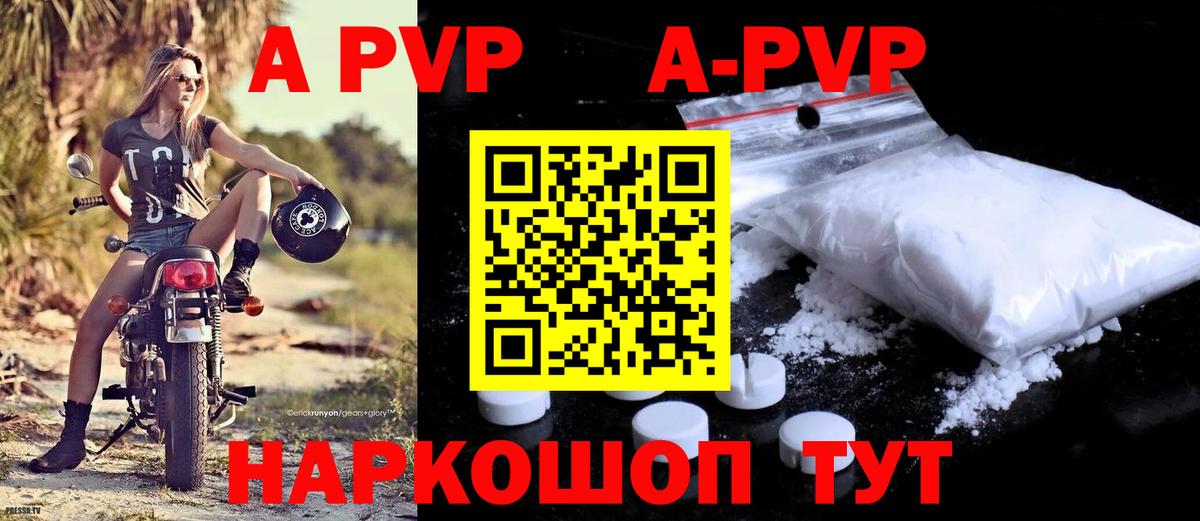 A-PVP СК Владивосток