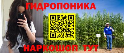 a pvp Гусев