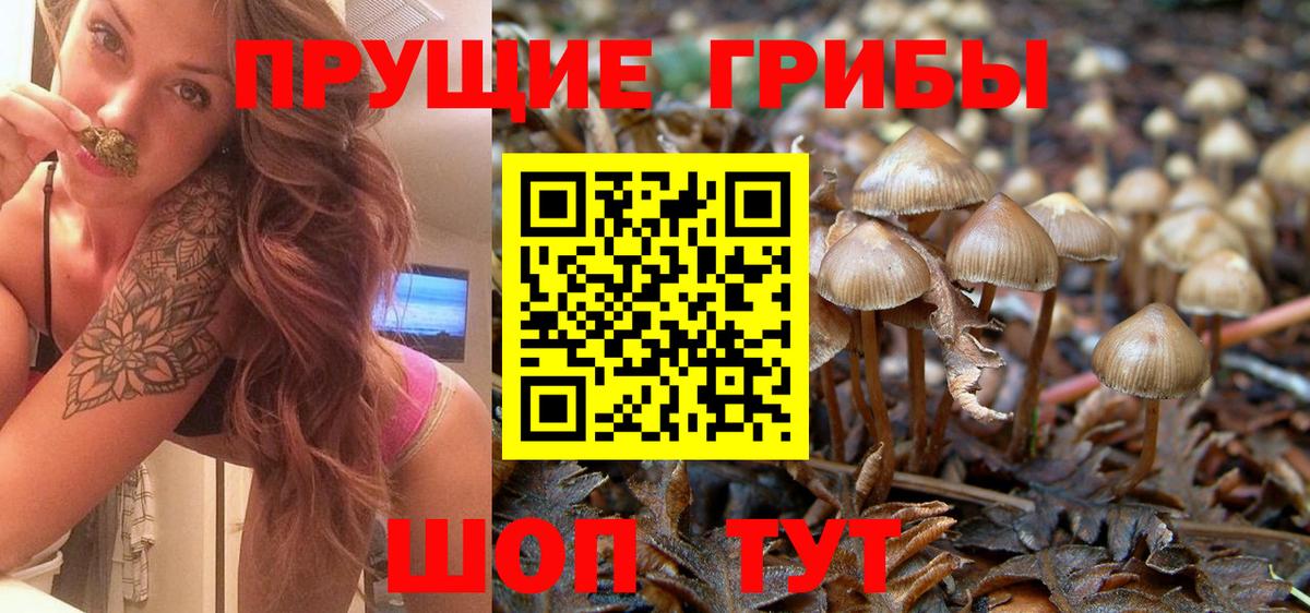 Псилоцибиновые грибы Magic Shrooms  Вход с VPN  Владивосток 